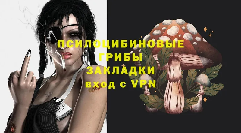 Галлюциногенные грибы Psilocybe  наркошоп  Каневская 